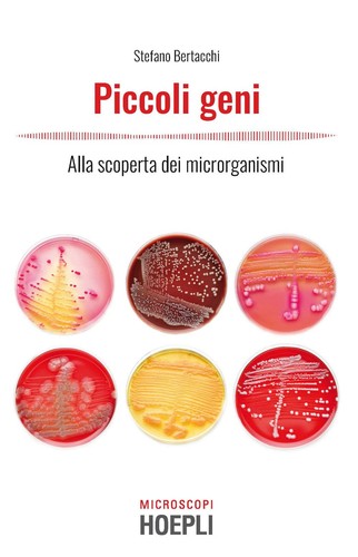 Stefano bertacc piccoli geni - stefano,