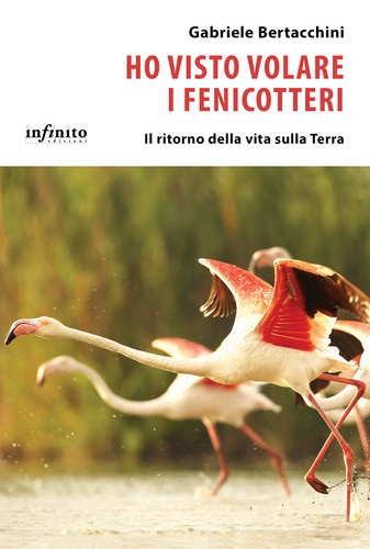 Visto volare fenicotteri - ho,
